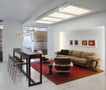 Legal Practice (2007) NY