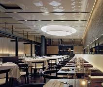 TOKU (2007) NY