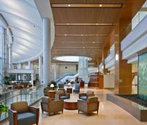 UNIVERSITY OF KENTUCKY (2011) KY