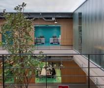 CINCO M DOS (2014) MEX