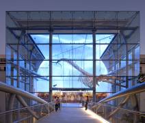 Natural History Museum (2013) CA