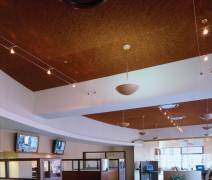 CARVER BANK (2001) NY