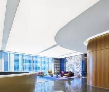 MAYER BROWN Chicago (2017) IL