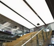 WARREN & MAHONEY (2016) NZL