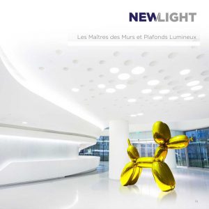 Catalogue NEW/LIGHT - 2019 - USA